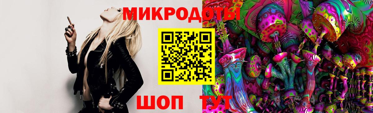 Ленинск-Кузнецкий  Галлюциногенные грибы Cubensis  Галлюциногенные грибы прущие грибы  Вход с VPN 